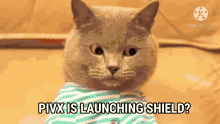 Pivx Shield GIF - Pivx Shield Cat GIFs