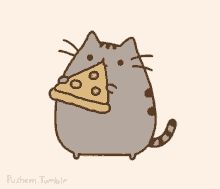Gato Pizza GIF