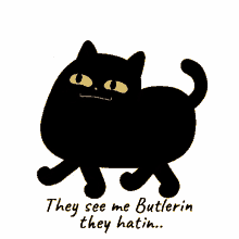 Butler The Cat They See Me Butlerin GIF - Butler The Cat They See Me Butlerin They See Me Butler Cat GIFs