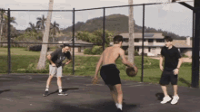 Shawn Mendes Mendesarmy GIF - Shawn Mendes Mendesarmy Basketball GIFs