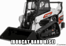 Bobcat Barb Rise GIF - Bobcat Barb Rise GIFs
