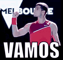 Carlos Alcaraz Vamos GIF - Carlos Alcaraz Vamos Tennis GIFs