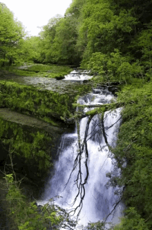 Water Water Falls GIF - Water Water Falls Nature GIFs