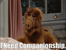 Alf I Need Companionship GIF - Alf I Need Companionship Companionship GIFs