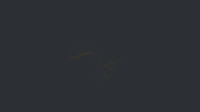 a black and white cat laying down on a black background