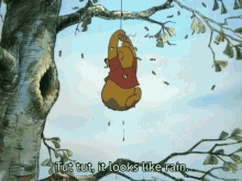 Winnie The Pooh Rain GIF - Winnie The Pooh Rain Wheeping GIFs