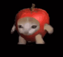 GIF