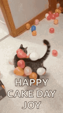Cats Static GIF
