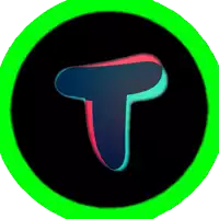 a green circle with a letter t in the middle