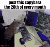 a capybara is sitting at a desk with a keyboard and mouse