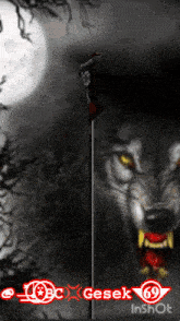 a picture of a wolf with the number 69 in the corner