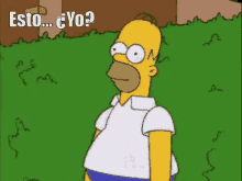 Homer Simpsons Seto Culpable Yo No Fui GIF