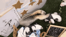a sign that says ' 2021 ' on it next to a stuffed animal