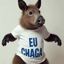 a small brown animal wearing a white shirt that says eu chaga