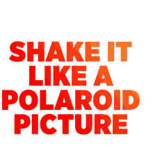 nycds shake polaroid dance shake it like a polaroid