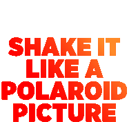 Nycds Shake Sticker - Nycds Shake Polaroid Stickers