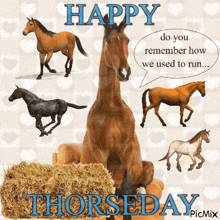 a picture of horses with the words happy thursday on the bottom