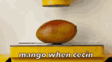 Mangoes GIF - Mangoes GIFs