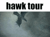 an advertisement for hawk tour shows a bird flying through the air