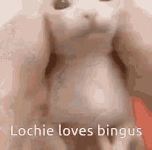 Lochie Loves GIF - Lochie Loves Bingus GIFs