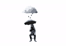umbrella harrison
