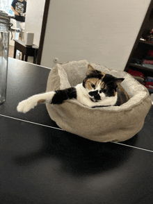 a calico cat is laying in a cat bed