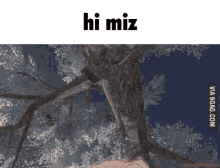 Hi Miz GIF - Hi Miz Mizuki GIFs