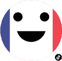 France Tiktok Sticker - France Tiktok Excited Stickers