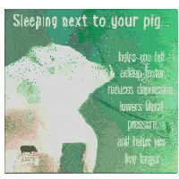 Trippy Next To Your Pig Sticker