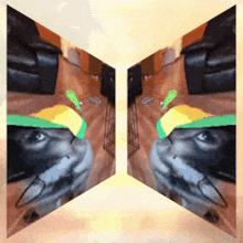a dog wearing a green hat is reflected in a triangle