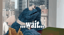 Cookie Monster Wait GIF - Wait Sesamestreet Cookiemonster GIFs