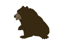 Sad Bear GIF - Sad Bear GIFs