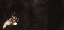 a cartoon character is flying through the air in a space ship in a video game .