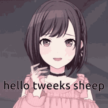 Ena Shinonome Tweeks Sheep GIF - Ena Shinonome Tweeks Sheep Tweeks GIFs