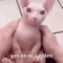Get On Vc GIF
