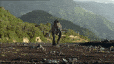 a dinosaur is walking across a rocky field in front of a mountain range