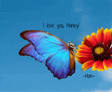 I Love You Honey Nannahtan GIF - I Love You Honey I Love You Honey GIFs