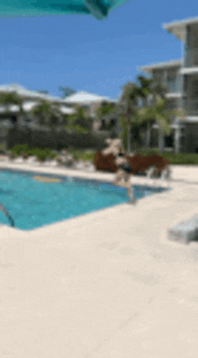 Cannonball GIF - Cannonball GIFs