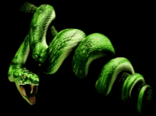 Greedy Snake GIF - Greedy Snake Green GIFs
