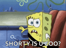 a cartoon of spongebob with the words shorty is u coo below him