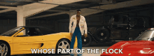 Whose Part Of The Flock Not3s GIF - Whose Part Of The Flock Not3s Princ3 GIFs