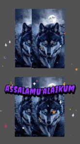 four pictures of a wolf with the words assalamu ' alaikum
