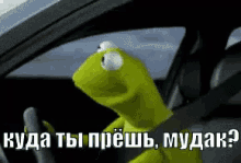 кермит автомобтль машина мудак вождение GIF - Kermit Avtomobil Mashina GIFs