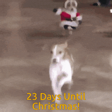 23 Days Until Christmas GIF - 23 Days Until Christmas GIFs