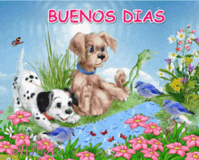 a picture of two dalmatian puppies with the words buenos dias on the top