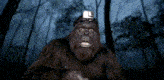a gorilla wearing a gopro on its head