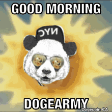 Topher Dogecoin Ca GIF
