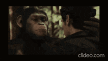 a close up of a man and a monkey 's faces with the words clideo.com at the bottom