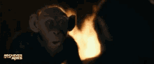 Bad Ape Planet Of The Apes GIF - Bad Ape Planet Of The Apes GIFs