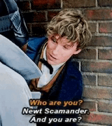 fantastic beasts fantastic beasts and where to find them who are you newt scamander eddie redmayne
